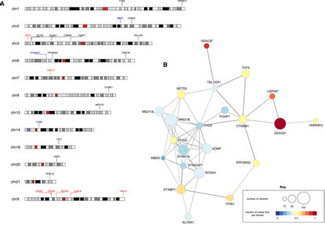 Sex Based Analysis Of De Novo Variants In Neurodevelopmental Disorders