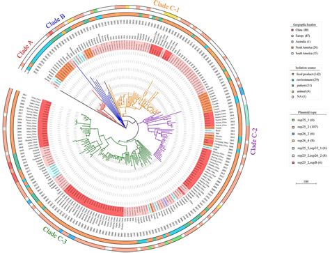 Frontiers The Population Structure And Genetic Diversity Of Listeria