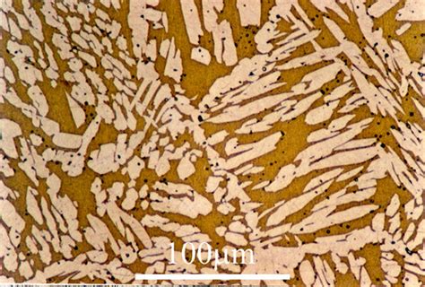 Cu Zn Wt Brass Widmanst Tten Microstructure Flickr