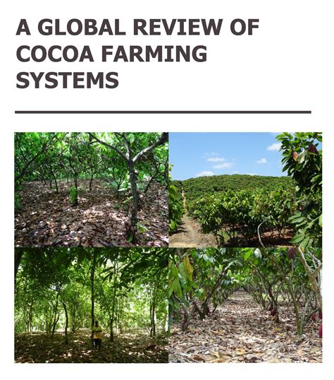 A Global Review of Cocoa Farming Systems - Cocoa research