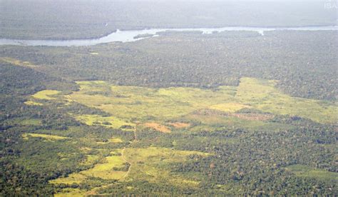 For A Nacional Autorizada A Agir Na Terra Ind Gena Cachoeira Seca Por