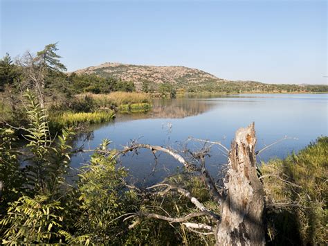 Fotos Gratis Paisaje Rbol Desierto Monta A Lago R O Estanque