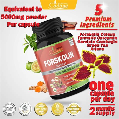 Organic Forskolin Extract Mg Capsules With Turmeric Arjuna