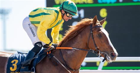 Mendel S Rock Usa Svensk Galopp