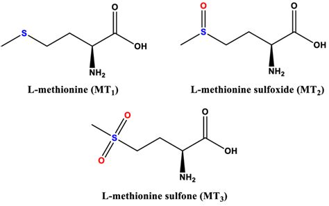 Chemical structure of methionine and its derivatives. | Download ...