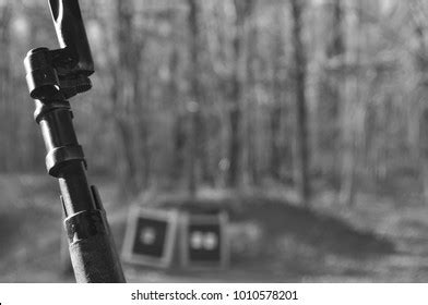 Shooting Range Mosin Nagant Rifle Gun Stock Photo 1010578201 | Shutterstock