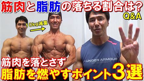 減量した時の筋肉と脂肪の落ちる割合は？筋肉を落とさず脂肪を燃やす3つのポイント【qanda】 Youtube