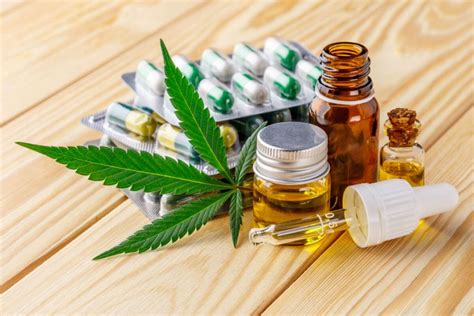 Cannabis Medicinal Pode Ser Aliada No Tratamento Da Esclerose