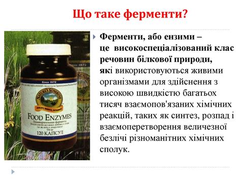 Ферменти: класифікація, структурно-функціональна організація ...
