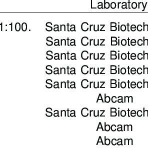 Primary antibody used in immunofluorescence labeling | Download Table