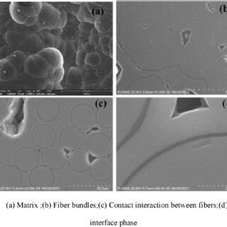 Typical Microstructure Images Of 2D SiC F SiC Composites Prepared By