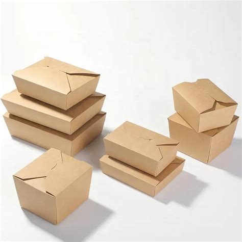 Biodegradable Chicken Boxes Takeout Hot Fast Food Fried Disposable