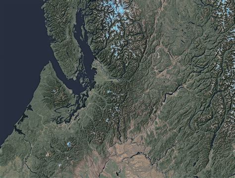 ‘When the Glaciers Disappear, Those Species Will Go Extinct’ - The New