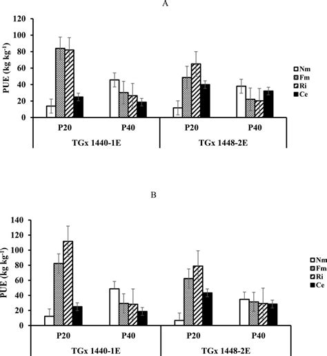 Phosphorus Use Efficiency PUE Of Two Soybean Cultivars Inoculated