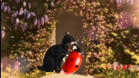 Cute Ladybug Wallpapers - 4k, HD Cute Ladybug Backgrounds on WallpaperBat