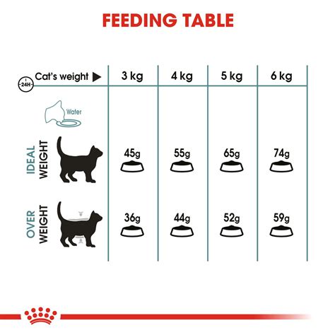 Hairball Care Cat Food Royal Canin UK