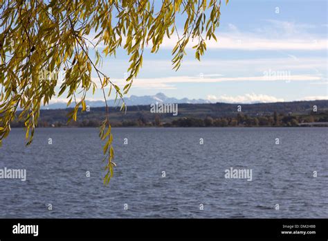 Lake Of Constance With View To Switzerland Stock Photo Alamy