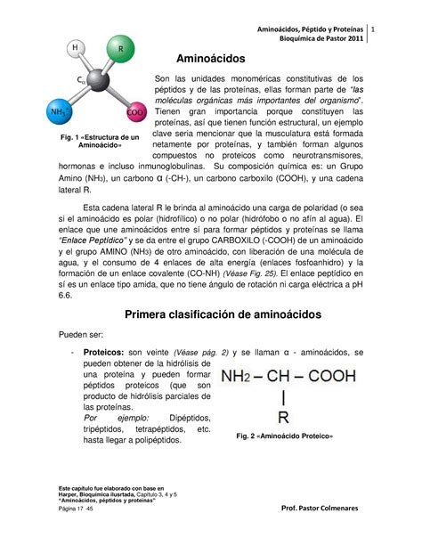 Aminoacidos Compress Amino Cidos Bioqu Mica De Pastor Este