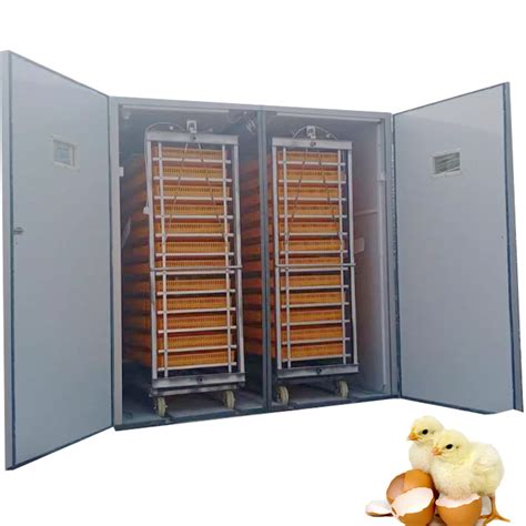 Chicken Eggs Hatch Intelligent Next Generation Multi Purpose