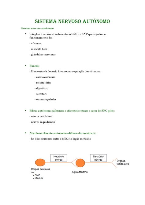 SOLUTION Anatomia Sistema nervoso autónomo Studypool