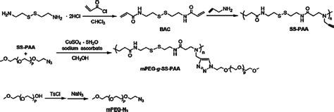 Synthesis Of Polyethylene Glycol Monomethyl Ether Download