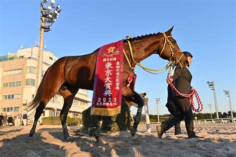 デルマソトガケ競走馬2020年産 成績｜地方競馬予想のウマニティ