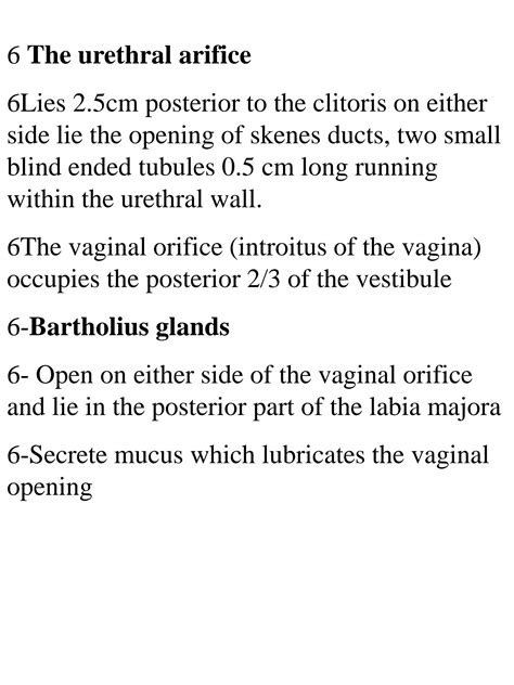 SOLUTION Anatomy Pelvic Organs Studypool