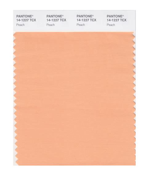 Pantone Smart Color Swatch Card 14 1227 Tcx Peach Columbia Omni Studio