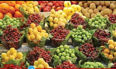 Iran Fresh Fruit Exporter