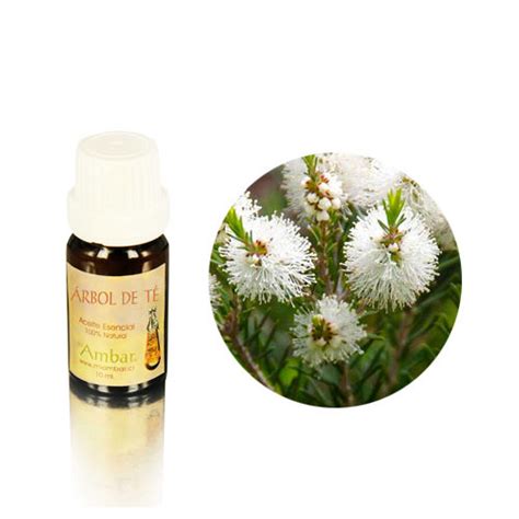 Aceite Esencial ARBOL DE TE Ambar Aromaterapia