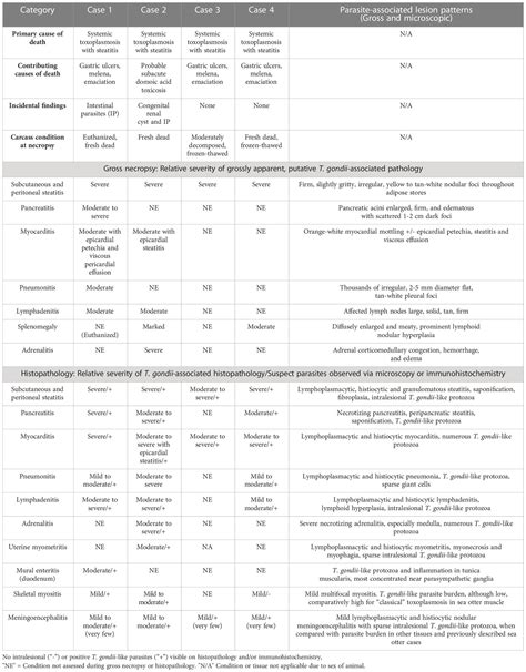 Frontiers Newly Detected Virulent Toxoplasma Gondii Coug Strain