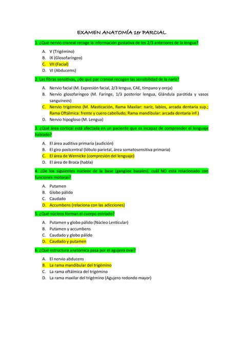 Examen Anatom A Er Parcial Resuelto Examen Anatom A Er Parcial