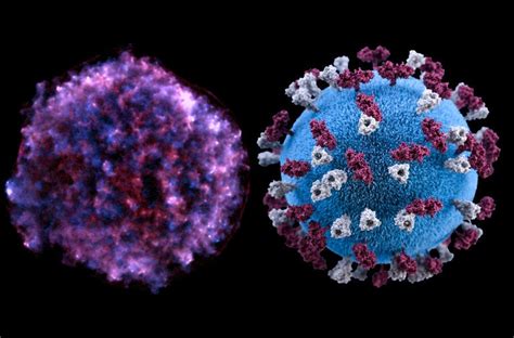 The Covid-19 Pandemic - The New York Times 