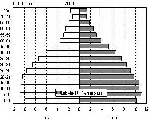 INDONESIAN POPULATION: Population Pyramid