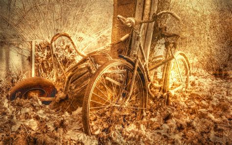 🔥 50 Vintage Bicycle Wallpapers Wallpapersafari