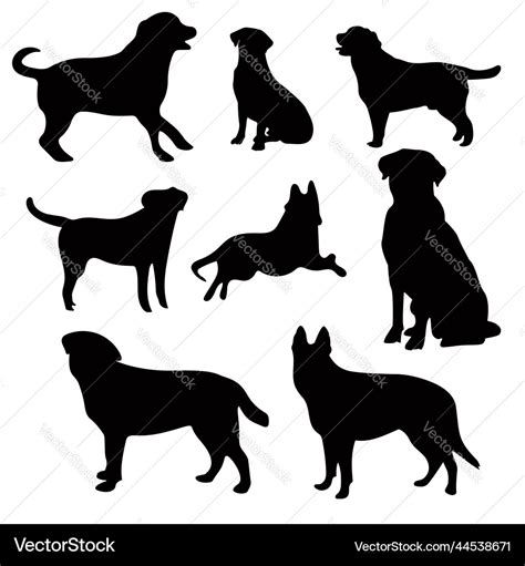 Dog Silhouette Collection In Different Positions Vector Image