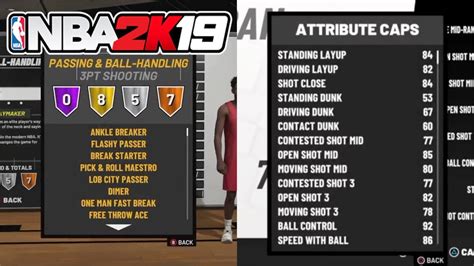 All Attributes Badges For The Sharpshooting Playmaker PlaySharp