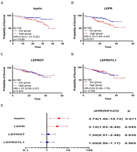 Biomolecules Free Full Text Clinical Significance Of Plasma Leptin