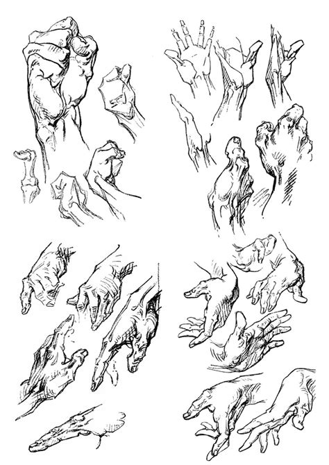 Artistic Anatomy Photo Bridgman Hands Body Sketches Anatomy Sketches