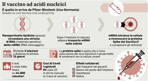 Vaccino Come Funziona Il Piano Delle Vaccinazioni E I Dubbi Degli