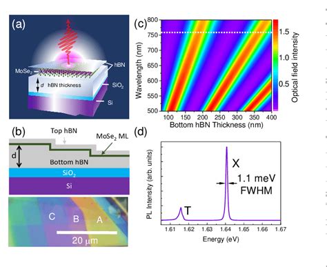 A Schematics Of The Investigated Mose2 Monolayer Embedded In Download Scientific Diagram