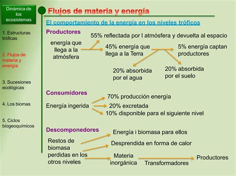 La Dinamica De Los Ecosistemas Pptx