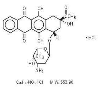 Idamycin Idarubicin Side Effects Uses Dosage Interactions Warnings