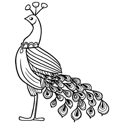 Peacock Coloring Page · Creative Fabrica