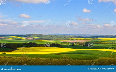 A Beautiful German Agriculture Landscape With Light And Yellow Fields