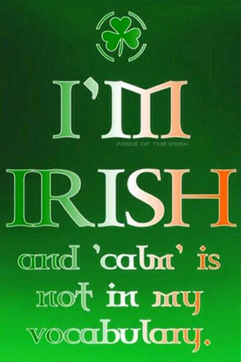 Iphone Wallpaper St Patricks Day Tjn Scots Irish Irish Irish Funny