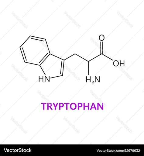 Tryptophan Amino Acid Chemical Molecule Structure Vector Image