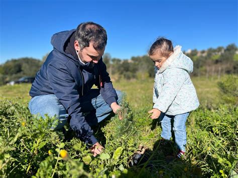 Famílias devolveram à natureza os pinheiros de Natal Mais Ribatejo