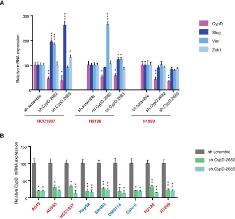 Figures And Data In TP53 Exon 6 Truncating Mutations Produce Separation