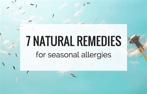 7 Natural Remedies For Seasonal Allergies Simply Quinoa